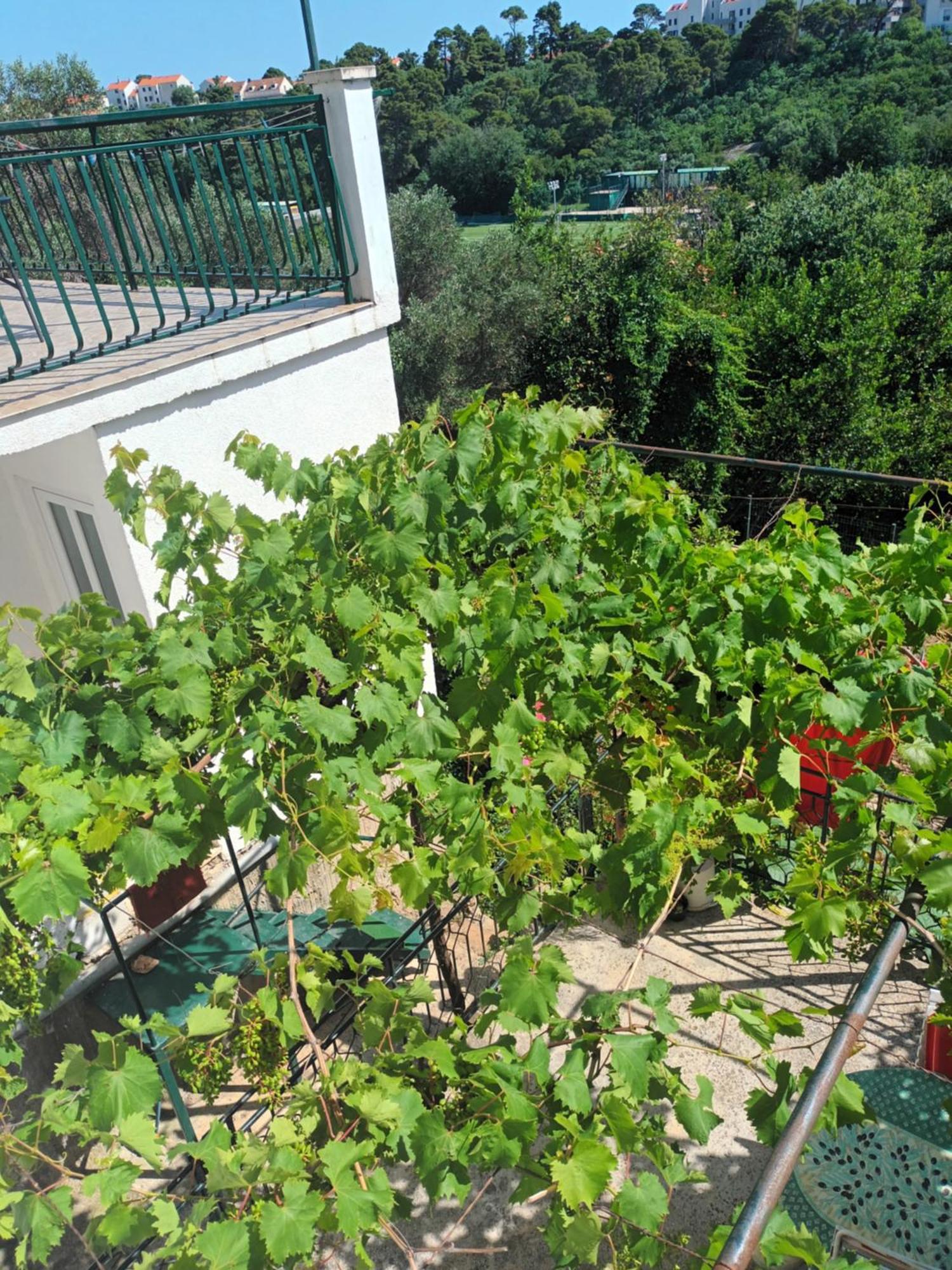 Apartment Jo Dubrovnik Bagian luar foto
